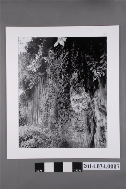 安平古堡牆 (共2張)