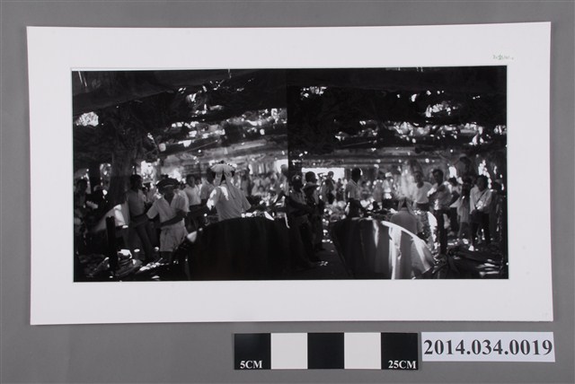 通樑大榕樹                            (共2張)