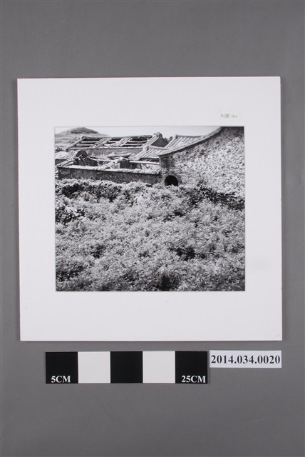 望安塌廢的大宅遺跡           (共4張)