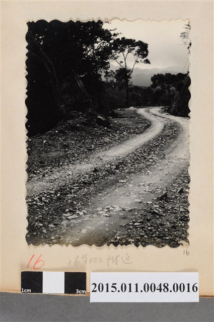 公路路面 (共1張)