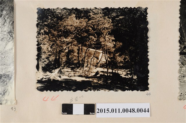 公路邊的房舍 (共1張)