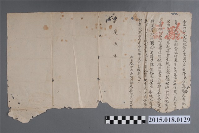 嘉慶5年葉陳尹仝生母鄭氏向葉惟嶸仝立典契 (共2張)