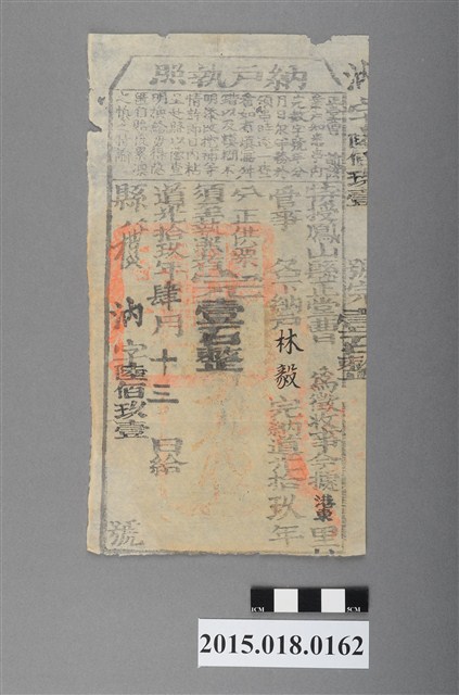 道光19年4月港東里鳳山縣給林毅納戶執照 (共2張)