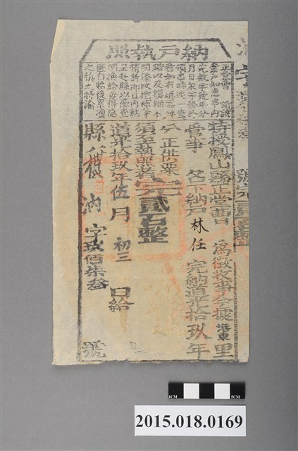 道光19年5月港東里鳳山縣給林任納戶執照 (共2張)