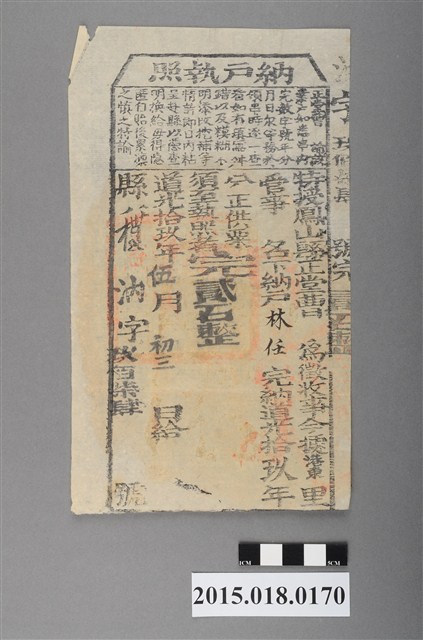 道光19年5月港東里鳳山縣給林任納戶執照 (共2張)