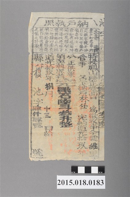 道光19年8月維新里鳳山縣給林任納戶執照 (共2張)