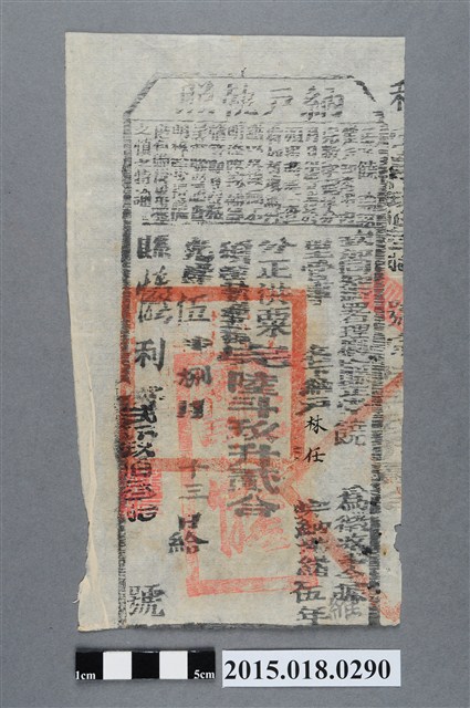 光緒5年8月鳳山縣給林任納戶執照 (共2張)