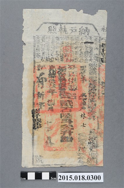 光緒13年8月鳳山縣給林壬納戶執照 (共2張)