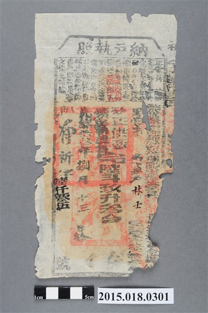 光緒13年8月鳳山縣給林壬納戶執照 (共2張)