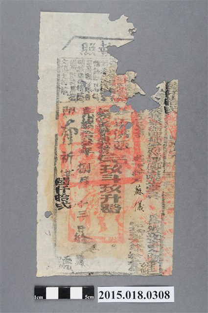 光緒13年8月鳳山縣給蘇儀納戶執照 (共2張)