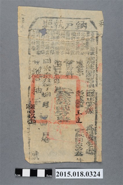 同治13年8月鳳山縣給王連納戶執照 (共2張)