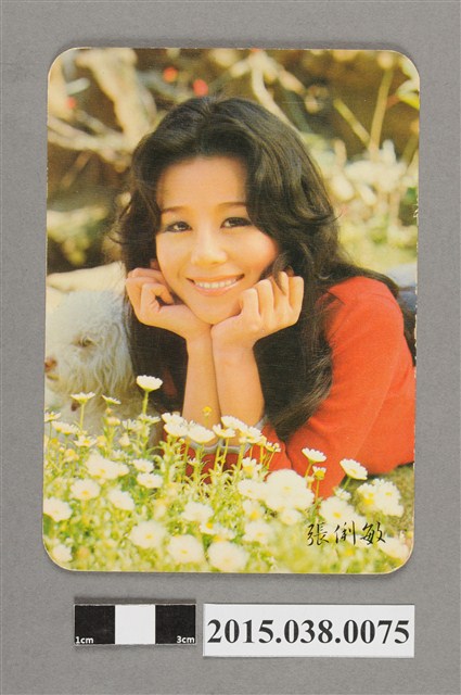 張琍敏明星卡 (共2張)