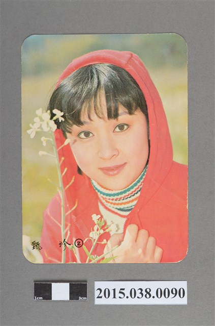 甄珍明星卡 (共2張)