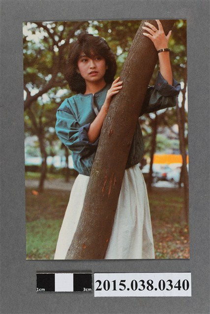 楊林明星卡 (共2張)