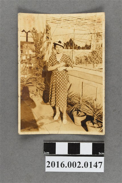 鄭新合於頂樓庭園 (共2張)