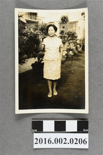 鄭新合於屋外庭園 (共2張)