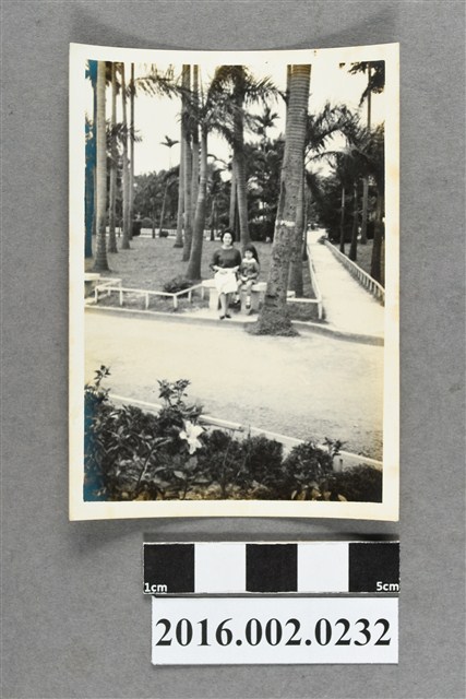 張星賢之二媳婦的菲律賓友人於台北新公園合照 (共2張)