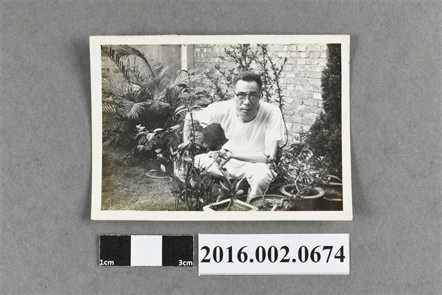 張星賢於大直自宅庭園 (共2張)