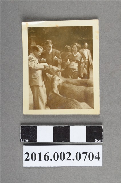 陳英郎與友人於日本奈良公園合照 (共2張)