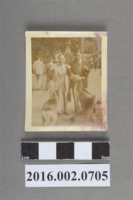 陳英郎與友人於日本奈良公園合照 (共2張)