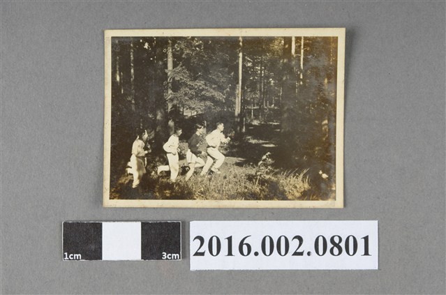 日本奧運代表選手參加第十一屆柏林奧運於奧運選手村樹林練習活動 (共2張)