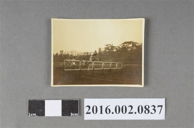 張星賢代表台中縣參加台中水源地體育場舉行的「第二屆省運」勇奪中欄競賽第一名 (共2張)