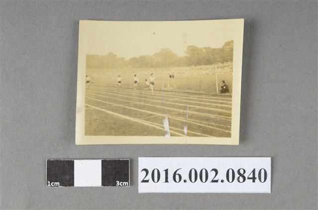 運動場女選手競賽照 (共2張)