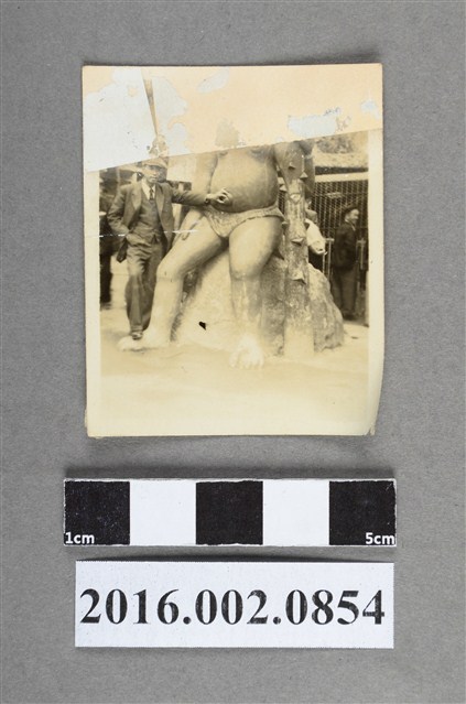 張星賢於日本 (共2張)