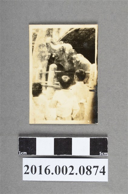 臺北圓山動物園大象照 (共2張)