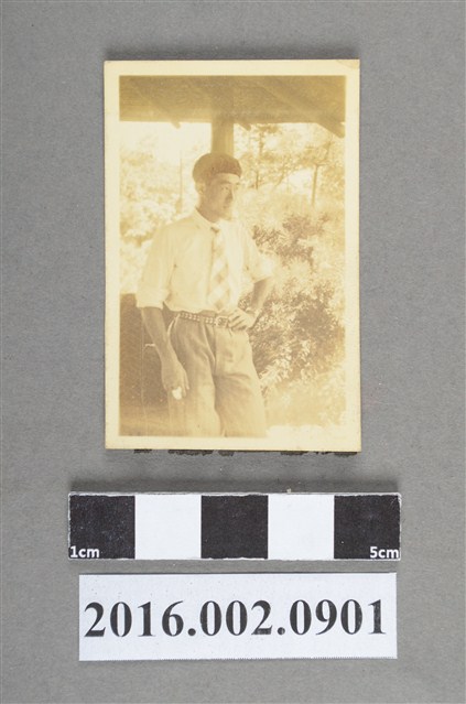 松平賴明 (共2張)