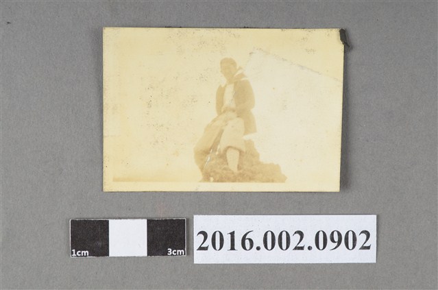 松平賴明 (共2張)