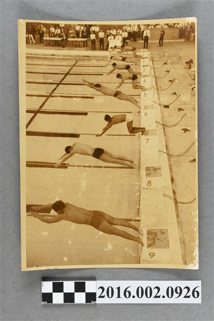 第三屆亞洲運動大會於日本東京舉行的男子游泳競賽 (共2張)