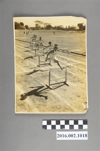 張星賢代表台中縣參加台中水源地運動場舉行的第二屆省運勇奪中欄競賽第一名 (共2張)