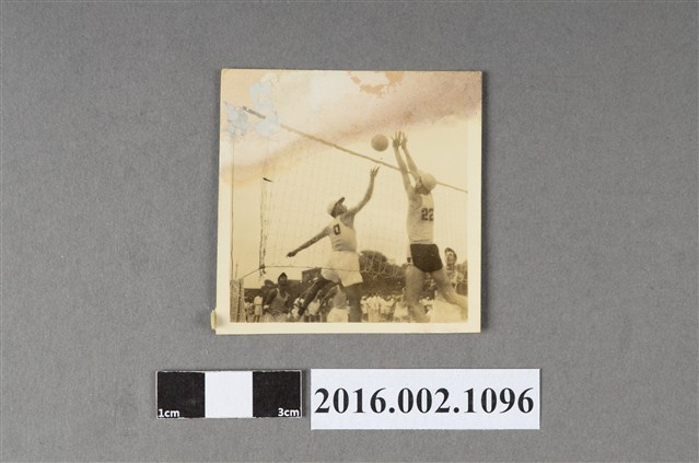 張星賢代表合作金庫排球隊參加比賽 (共2張)