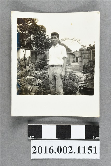 鄭新合之堂弟於埔里自宅庭園獨照 (共2張)