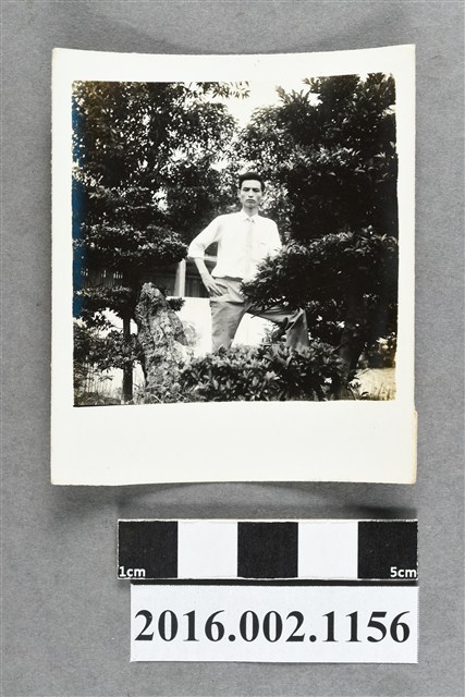 鄭新合之堂弟於埔里自宅庭園獨照 (共2張)