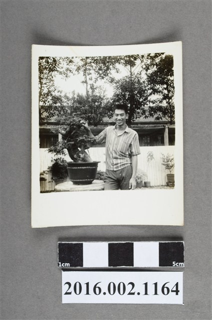 張星賢之四子於堂舅埔里住家庭園 (共2張)