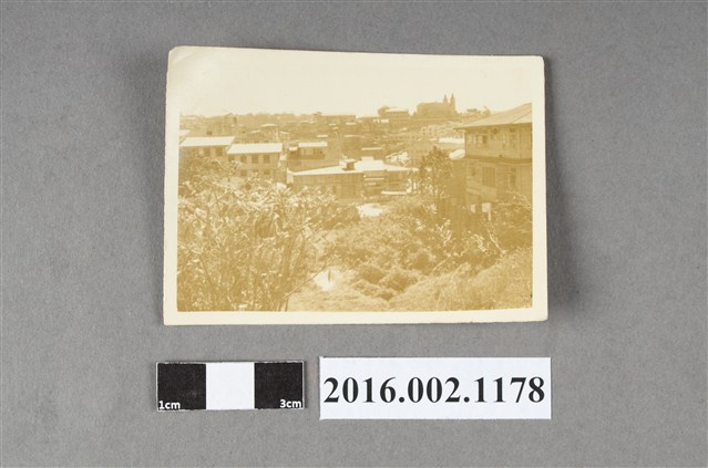 城市一偶 (共2張)