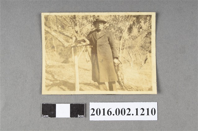 張星賢就讀早稻田大學時期獨照 (共2張)