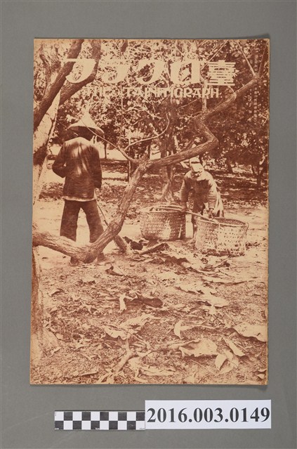 《臺日畫報 》第3卷第11號昭和7年11月15日 (共3張)