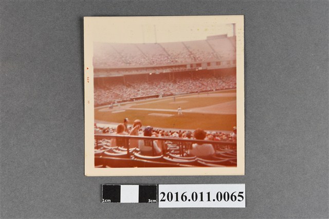 巴爾的摩球場觀賽照 (共2張)