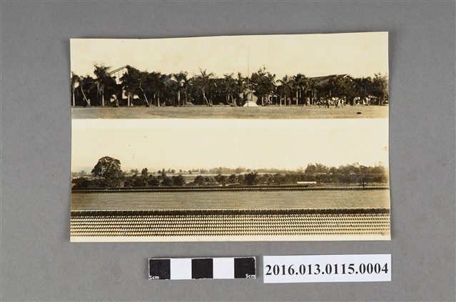 嘉農校園一景 (共3張)