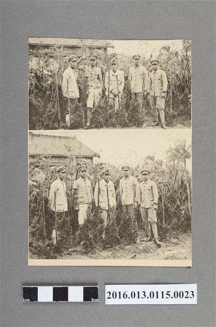 嘉農學生從事農務合照 (共3張)