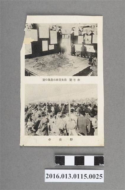 參考室-南洋農業室、即賣會照 (共3張)