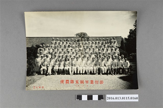 1950年虎農第五屆畢業留影照 (共2張)