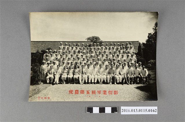 1950年虎農第五屆畢業留影照 (共2張)