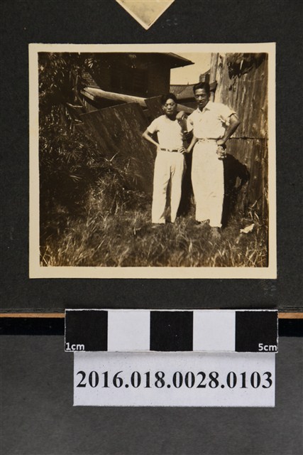 臺中農學院時期照片 (共3張)