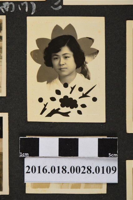 臺中農學院同學照 (共3張)