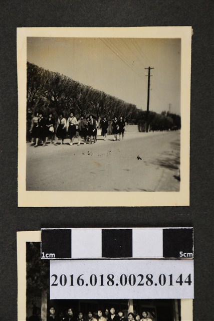 二林農校時間教員生活照 (共3張)