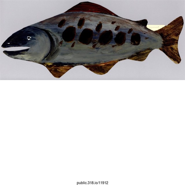 手繪鮭魚繪畫  (共1張)